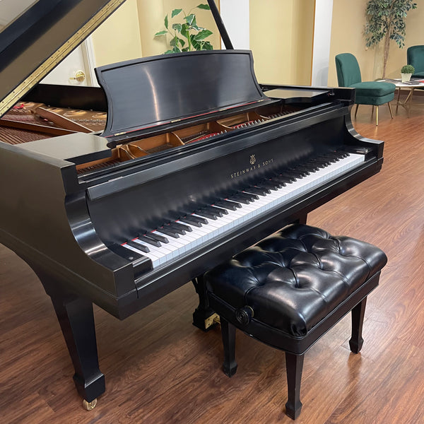 Steinway \u0026 Sons Модель D 9 | Северо-ЗападSteinway \u0026 Sons Модель D 9 | Северо-Запад  