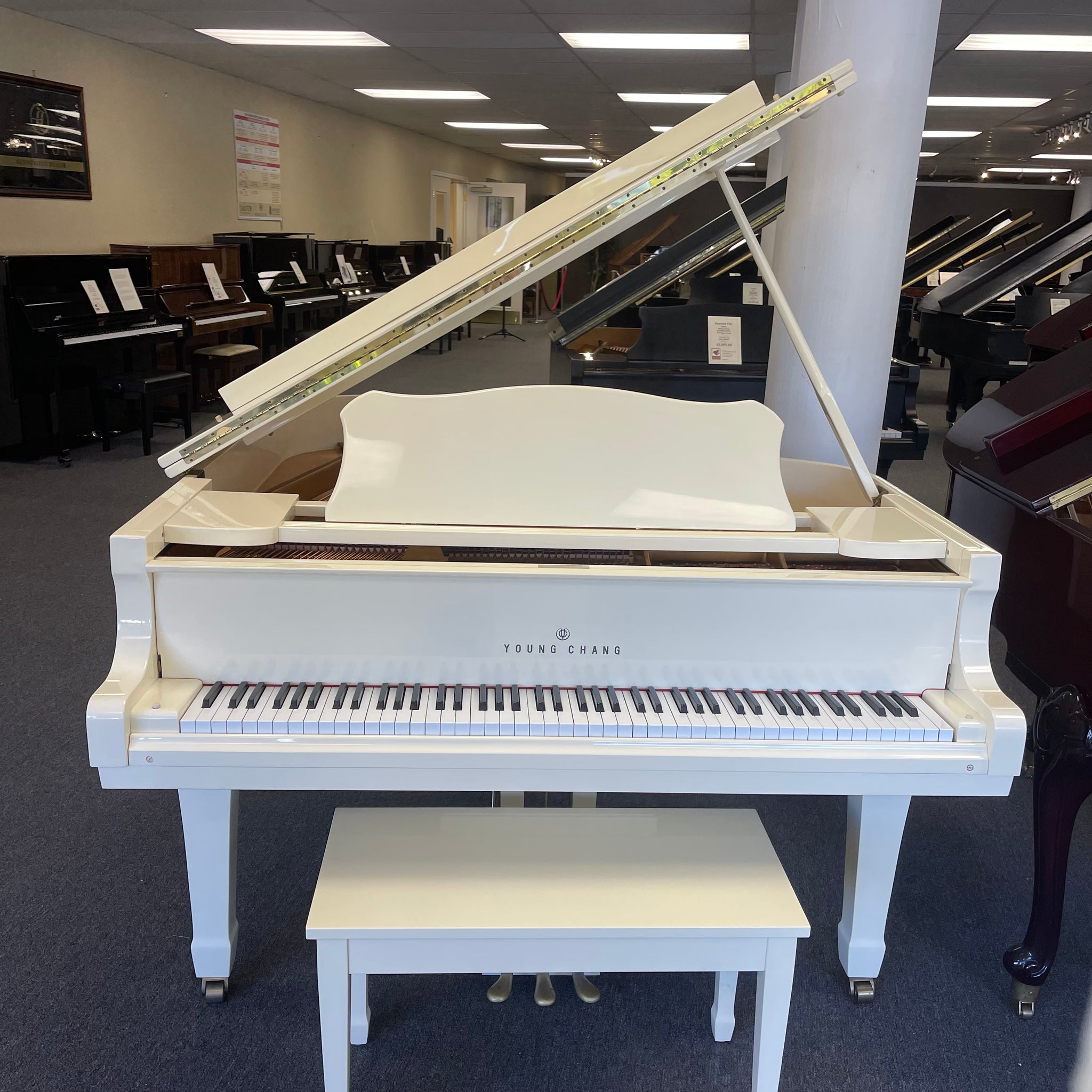 Young Chang G-185 (6'1'') | Northwest Pianos