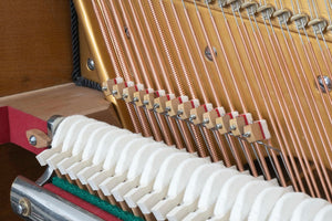 Bechstein Model 147 (58'') - ONLINE INVENTORY Call for Availability